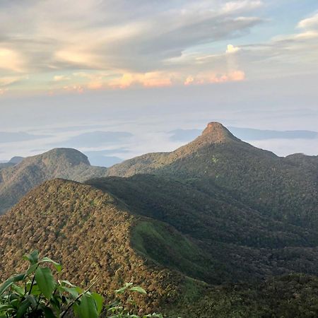 Hotel Mango Tree Nearest Adam'S Peak Nallathanniya Eksteriør billede