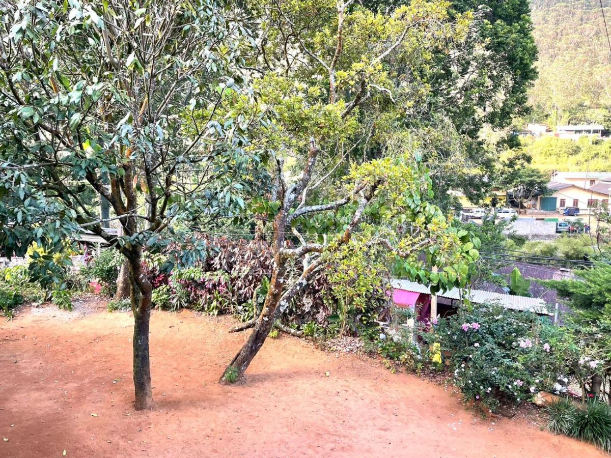 Hotel Mango Tree Nearest Adam'S Peak Nallathanniya Eksteriør billede