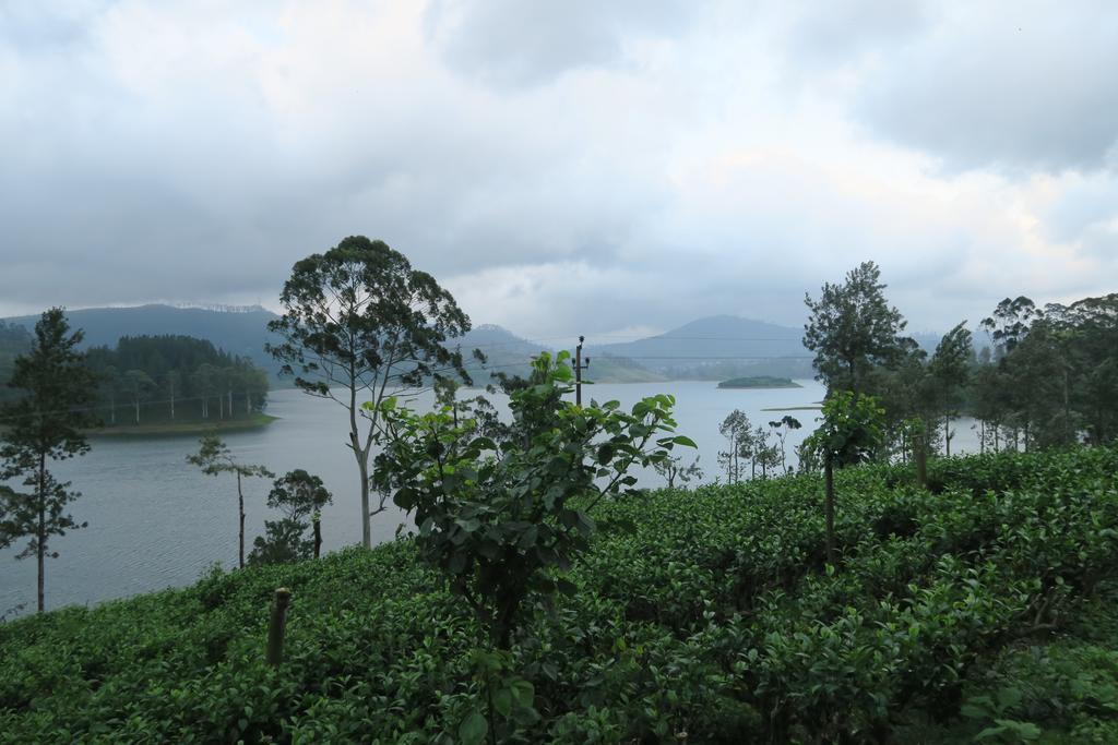 Hotel Mango Tree Nearest Adam'S Peak Nallathanniya Eksteriør billede
